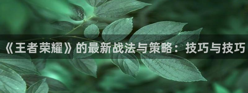 蓝冠娱乐的意思：《王者荣耀》的最新战法与策略：技巧与技巧