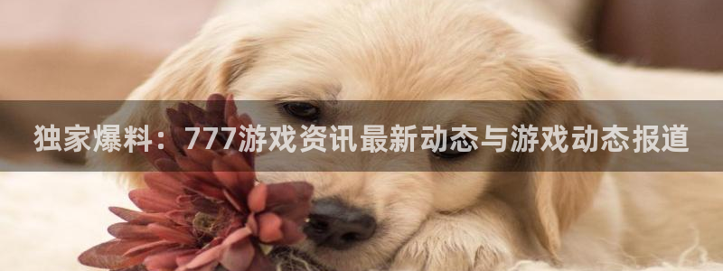 蓝冠娱乐平台官网入口：独家爆料：777游戏资讯最新动态与游戏